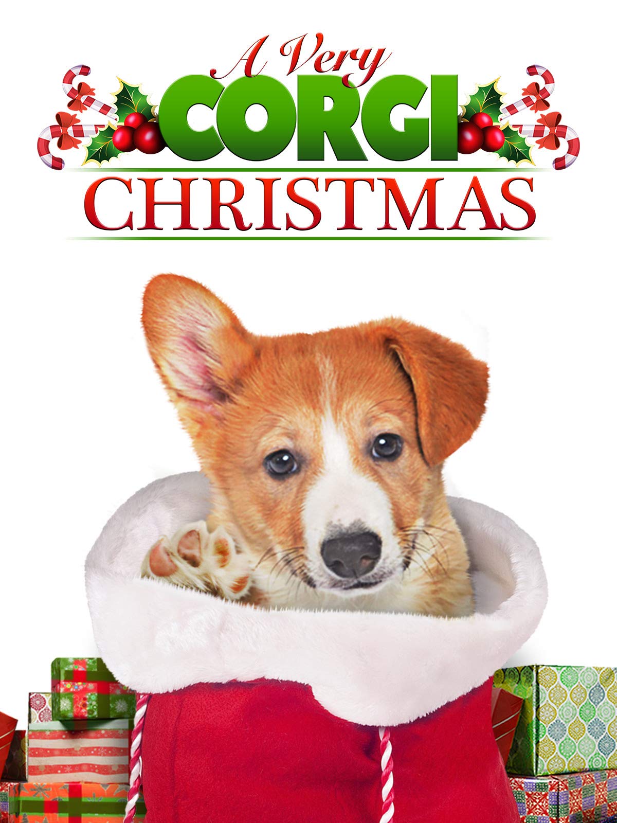 christmas corgi