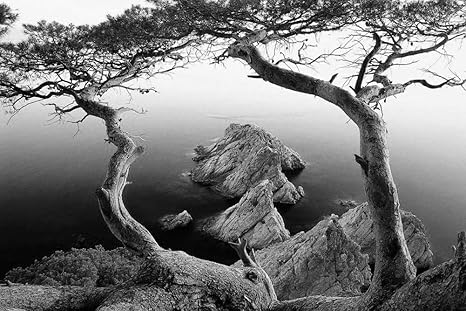 Amazon Co Jp 岩の多い海岸の壁紙 自然の壁紙 08 白黒の キャンバス ステッカー 印刷 壁紙ポスター はがせるシール式 写真 特大 絵画 壁飾り50cmx33cm ホーム キッチン