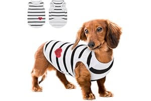 Queenmore Large Dog Shirt,Soft Breathable Dog Shirt for Dogs Cats Boy Girl,Pet Clothes for All Season,Breathable Lightweight Pet Tshirt for Frenchie, Dachshund, Yorkie