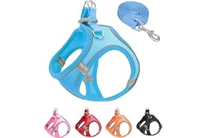 JUFOO XXXS Blue Soft Mesh Dog Harness and Leash Set,No Escape Easy Walk Puppy Harnesses for Training Walking， Reflective Adjustable Puppy Vest for Small Medium Dogs, Cats (Blue, XXXS)