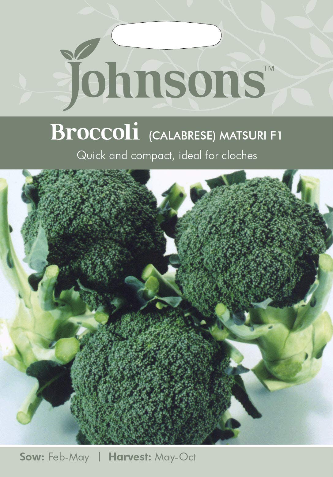 Johnsons Broccoli (Calabrese) Matsuri F1 Vegetable Seeds, Green