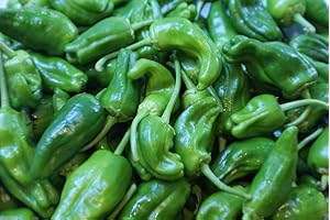 SVI Padron Pepper, Pimientos De Padron- 40 Seeds - Hot/sweet/mild, Spanish Heirloom !