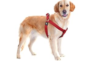 KRUZ PET Kruz No Pull Dog Harness (Chest 30”-44”, Weight 66-176 lbs) Heavy-Duty Pet Harness for Large Breeds, Ultra-Comfort Fit, Lifetime Durability, Adjustable Dog Harness No Pull Design (Red, X-Large)