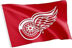 Desert Cactus Detroit Red Wings Flag NHL 100% Polyester Indoor Outdoor 3x5 feet National Hockey League Team Flags (Design #1)