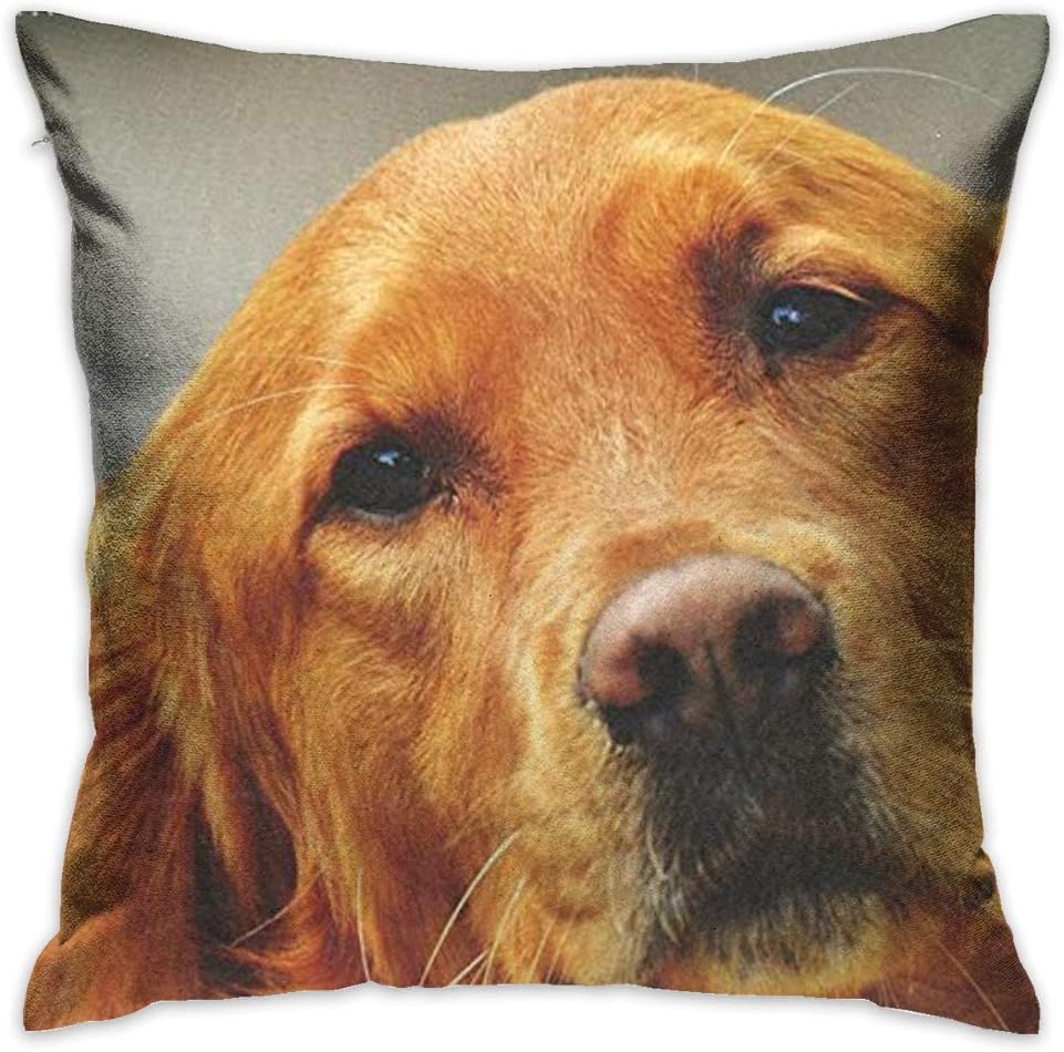 Best Golden Retriever Bedding Cree Home