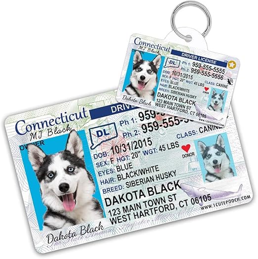 pet drivers license tag