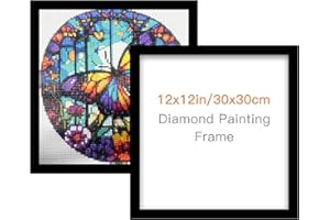 RYMILIE Diamond Painting Frames, Diamond Art Frames for 12x12in/30x30cm Diamond Painting Canvas, Diamond Painting Accessories Magnetic Frame for Wall Window Door Decoration (Inner Size 25x25cm)
