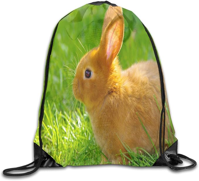 rabbit drawstring bag