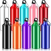 10 Pack Aluminum Water Bottles Lightweight Reusable Bottles Aluminum Travel Cups with Carabiner Leak Proof Team Water Cups in bulk for Gym Sports Bicycle Camping