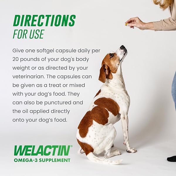 NUTRAMAX WELACTIN 3 – CANINE 120 – SOFTGEL CAPS, WELACTIN OMEGA-3 SKIN AND COAT SUPPORT