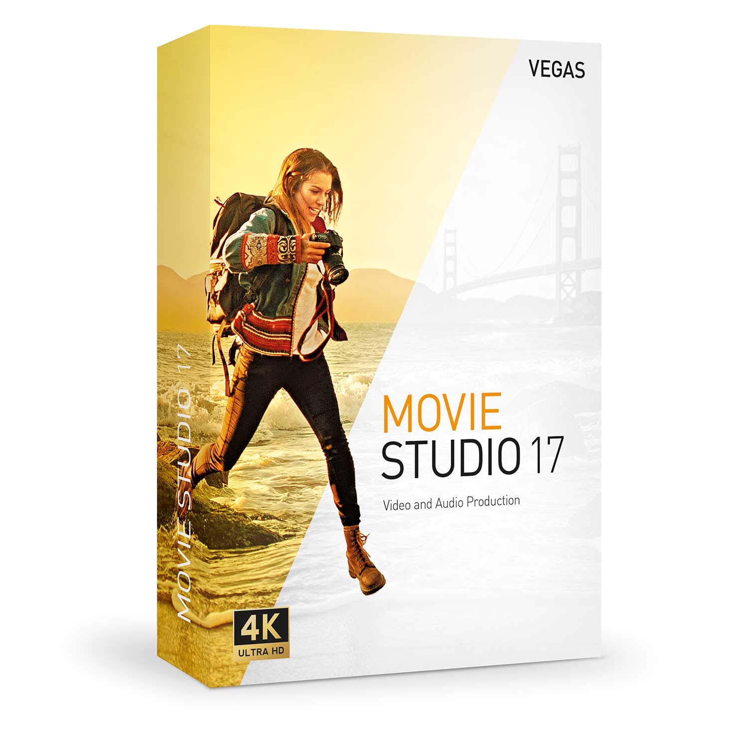VEGAS Movie Studio|17|1 PC|Perpetual License|PC|Download