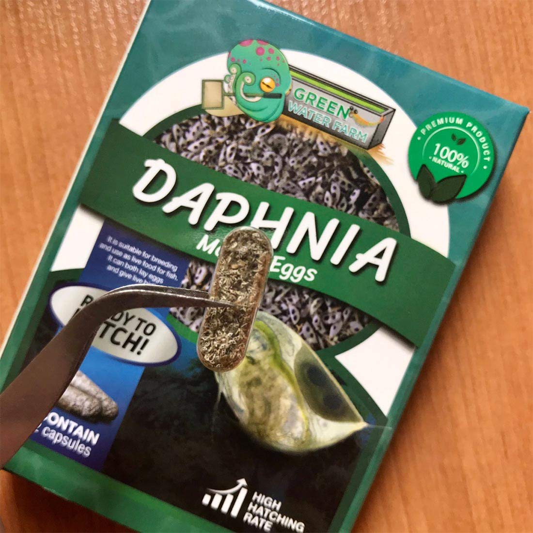 GREEN WATER FARM GreenWaterFarm Daphnia Magna Eggs Live Fish Food for Hatching and Culture Suitable for Feed Betta Fish