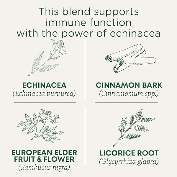TRADITIONAL MEDICINALS TEA, ORGANIC IMMUNE ZOOM ELDERBERRY ECHINACEA, SUPPORTS IMMUNE FUNCTION, 16 TEA BAGS