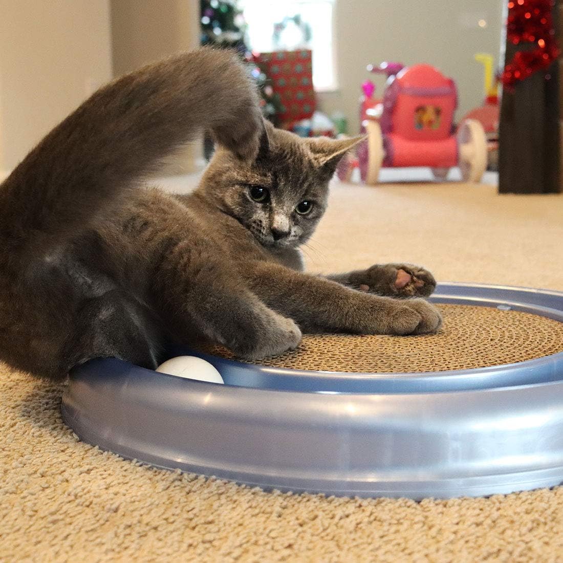 Bergan Turbo Scratcher Replacement Pads, 2 Pack : Scratching Pads : Pet Supplies