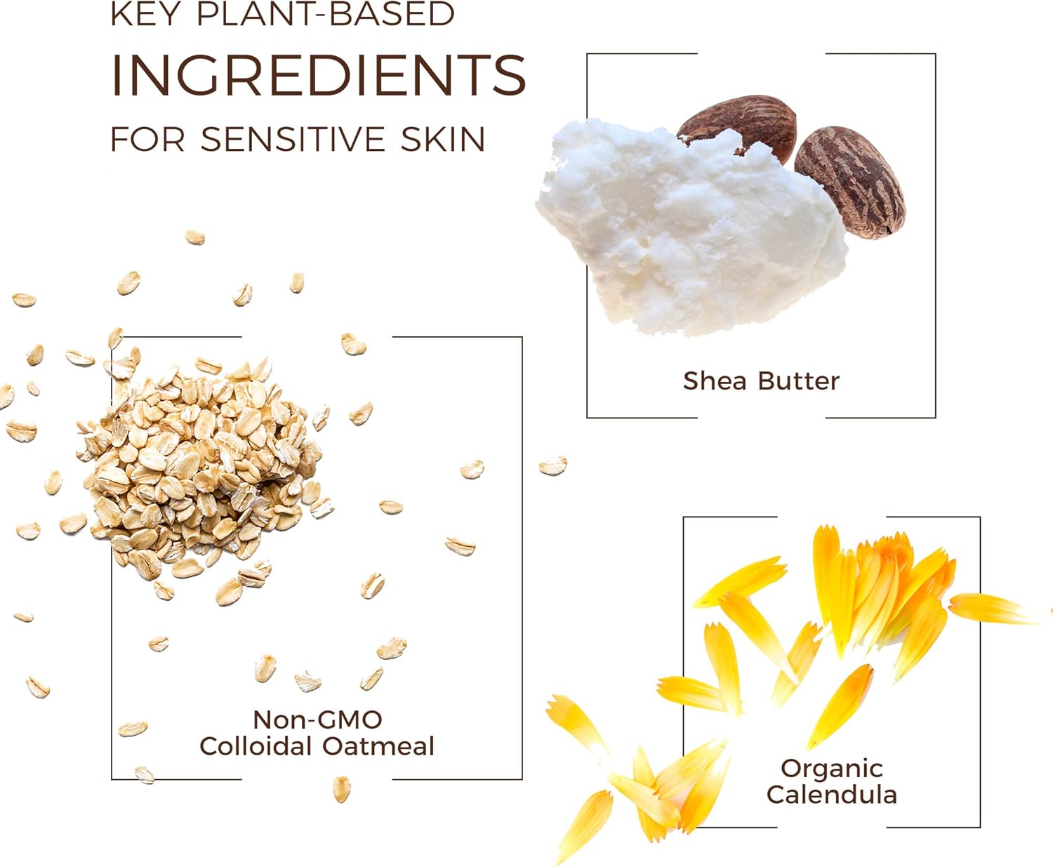 Babo Botanicals Moisturizing Baby Lotion, Non-Greasy, Hypoallergenic, , Multi, Oatmilk Calendula, 8 Fl Oz: Beauty