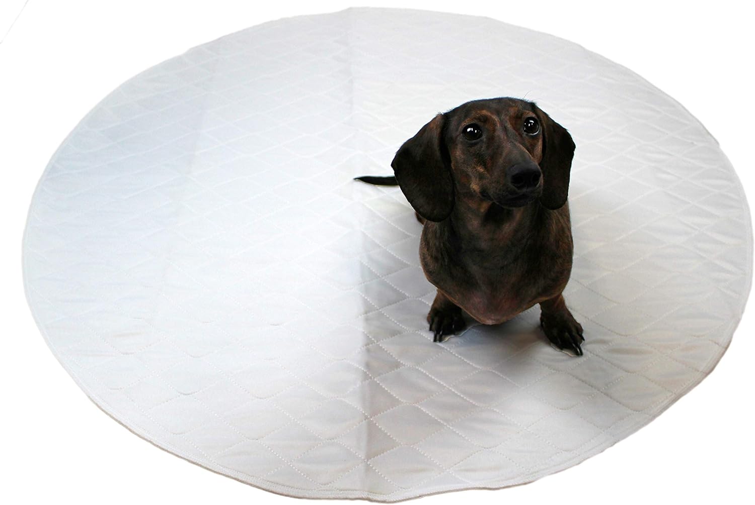 washable puppy pee pads