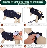 Kuoser Dog Recovery Suit Shirt After-Surgery Blue Stripe XS view 4