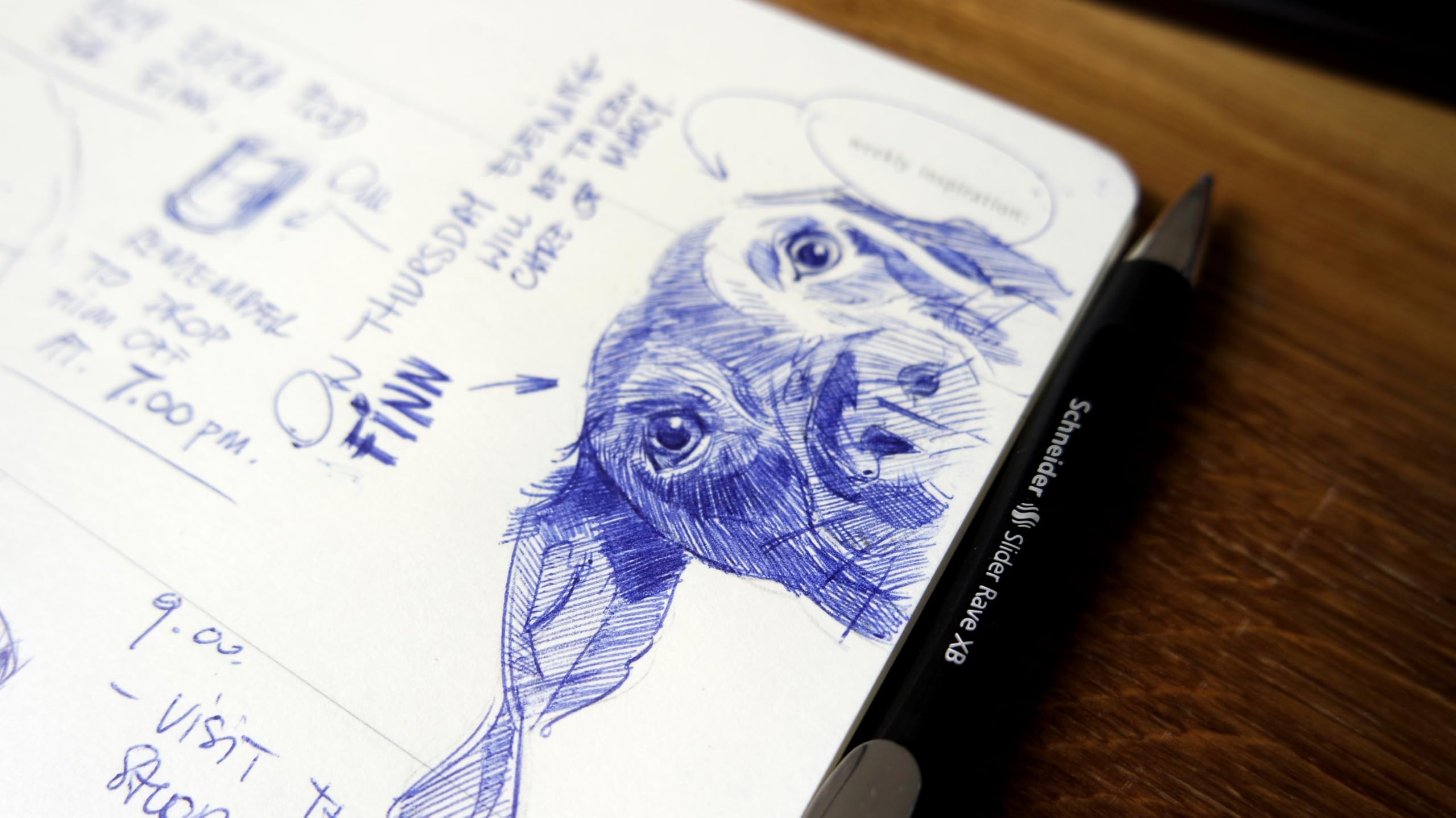 Schneider 132584 Slider Rave XB Kugelschreiber (Limitierte Sonderedition, 3x schwarz, 1x weiß, Made in Germany) 4 Stück, Schreibfarbe: blau 5