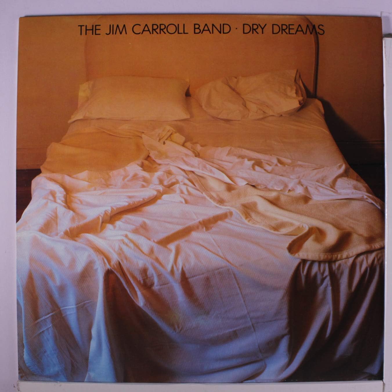 dry dreams LP JIM CARROLL