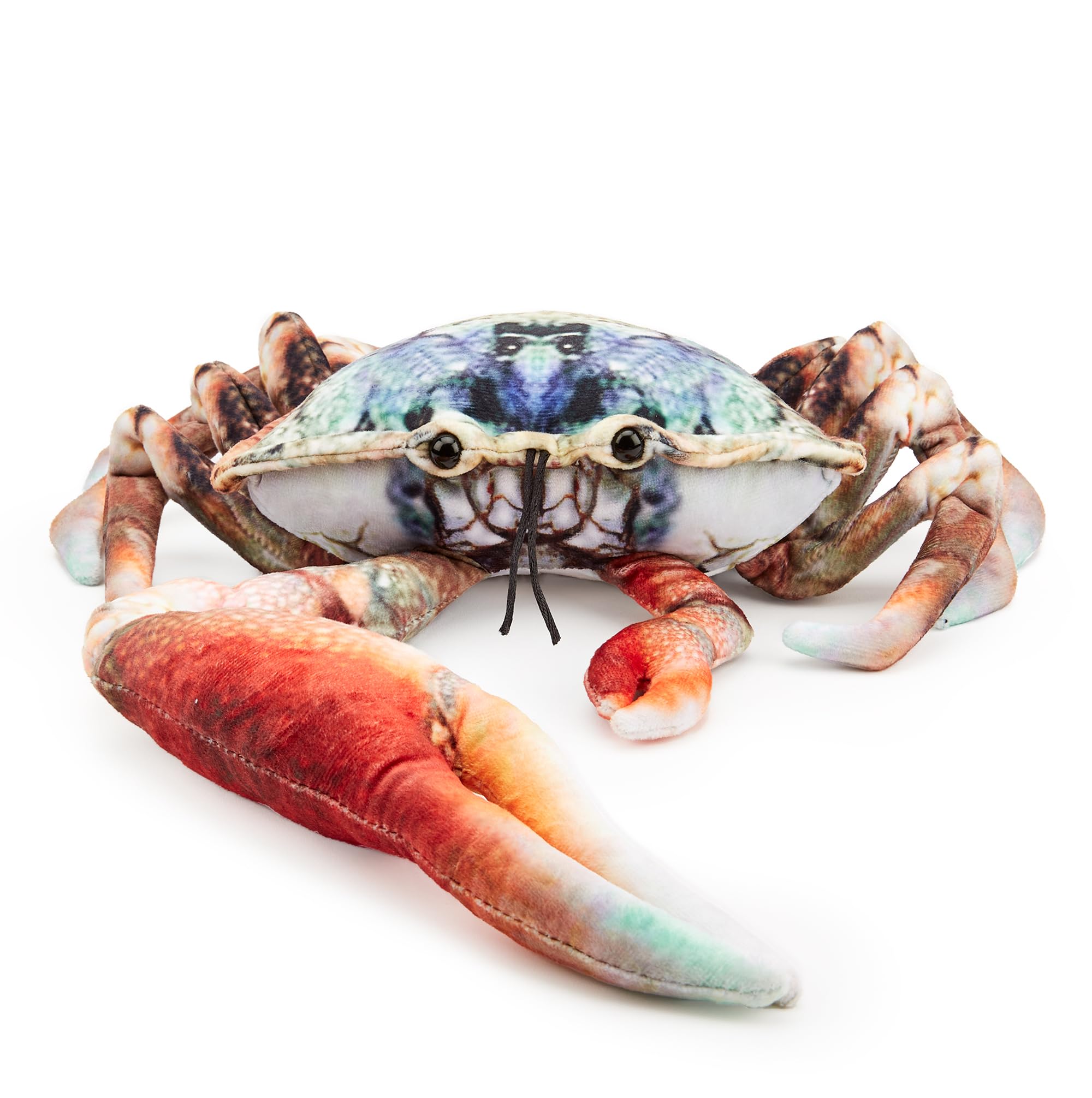 Zappi Co - Children's Realistic Soft Cuddly Plush Toy Animal - Perfect Playtime Companions for Children with Lifelike Detail featured Tiktok (28cm Length) (Blue Fiddler Crab) — image 1