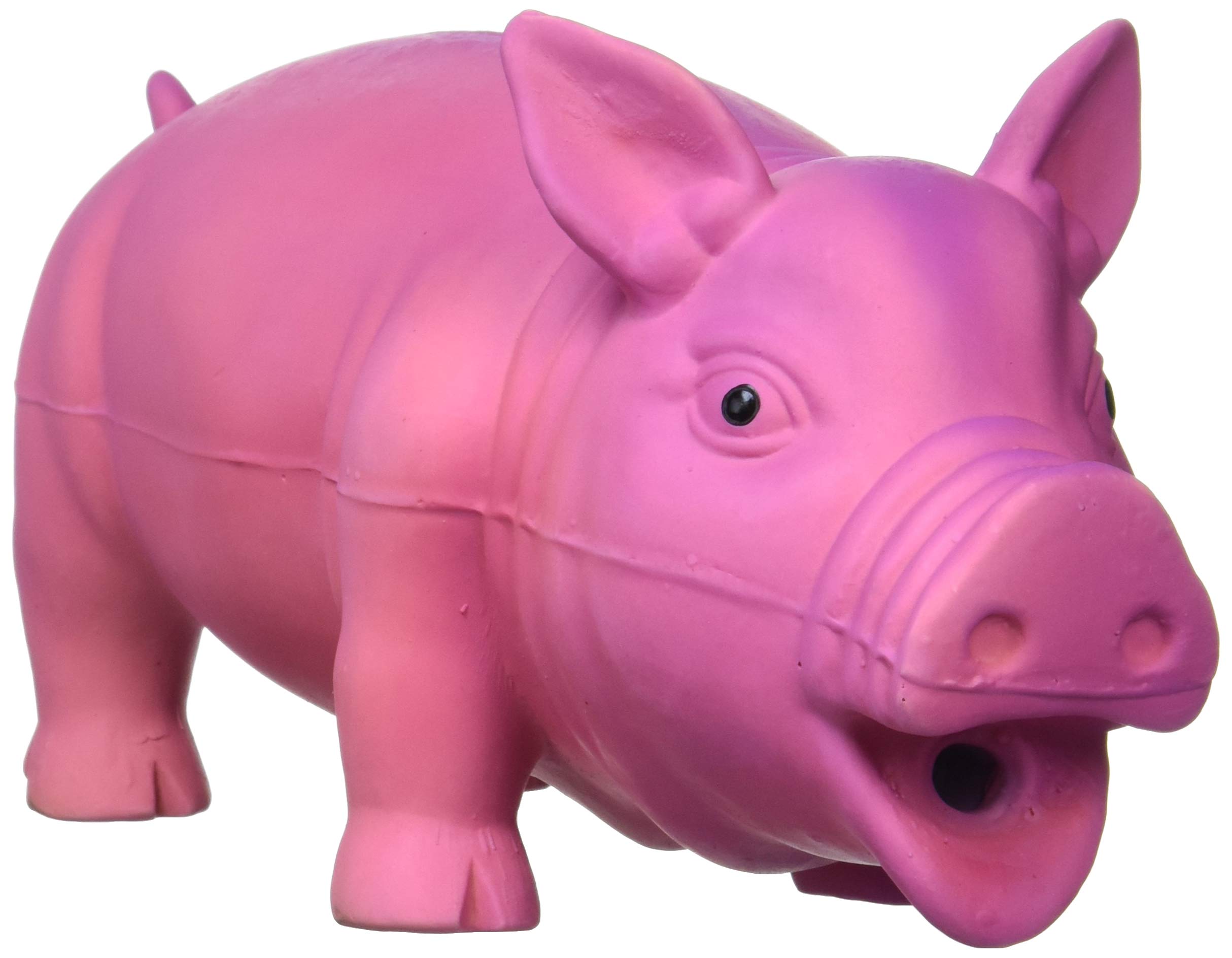 常陸化工 ファインドッグ ビッグピッグ ラテックストイの商品画像