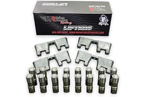BTR BRIAN TOOLEY RACING Brian Tooley BTR Delphi LS7 Lifters + Trays for Gen 3 Gen 4 LS + Gen 5 LT Engines X12499225-16