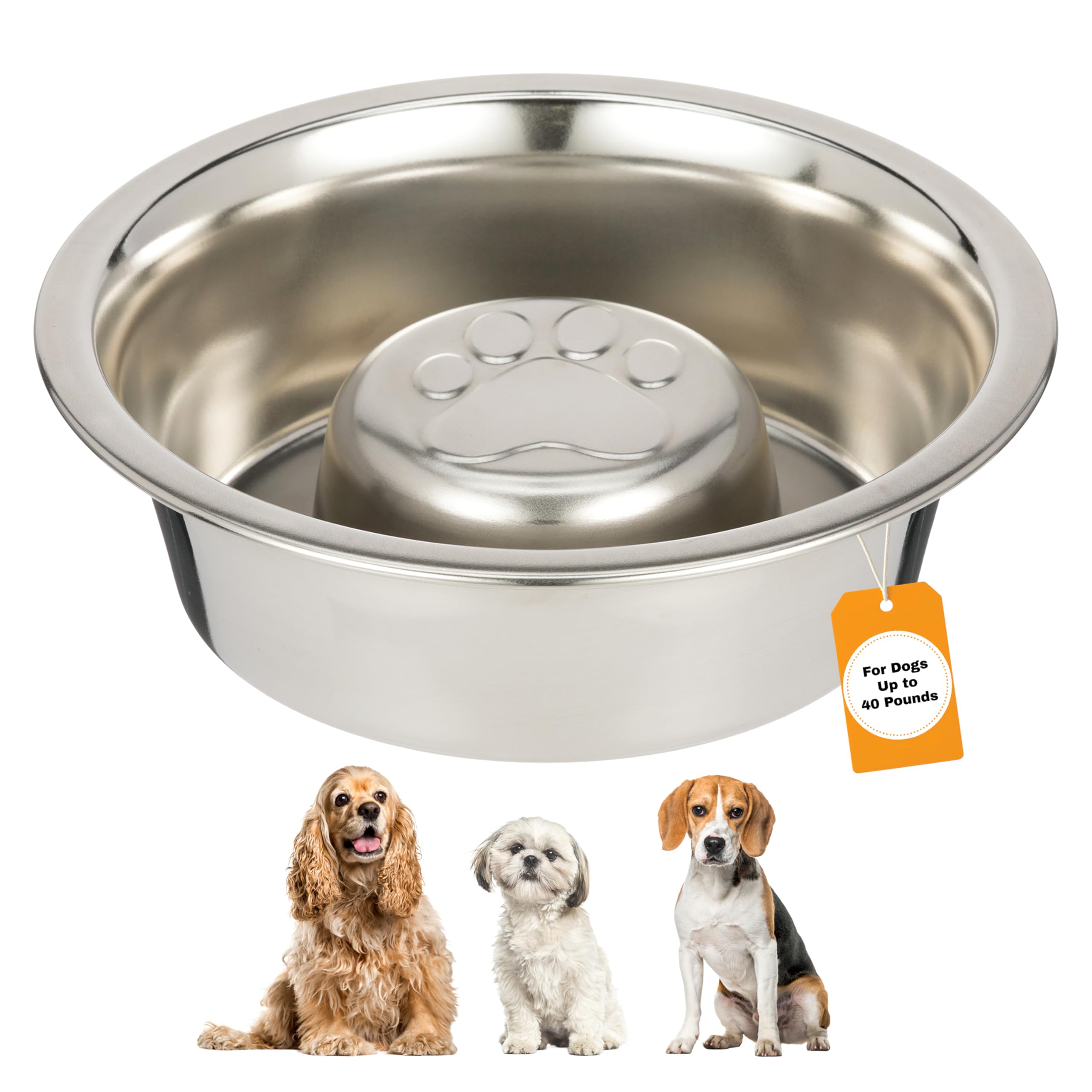 Neater Pet Brands Slow Feed Bowl Stainless Steel - Standard Bowls Fit Elevated Feeders (1 Cup, Stainless Steel)