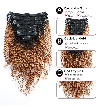 Amazon.com : Sassina Ombre Kinky Curly Clip In Human Hair Extensions ... Amazon.com : Sassina Ombre Kinky Curly Clip In Human Hair Extensions ...