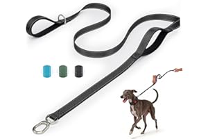 Heavy Duty Dog Leash with Easy Lock Metal Clip, Reflective, Padded Handle - Durable 4ft 8ft Walking Training Leash for Large, Medium, Small Dogs, Jogging, Hiking, and Outdoor Use (Black, 6 FT)