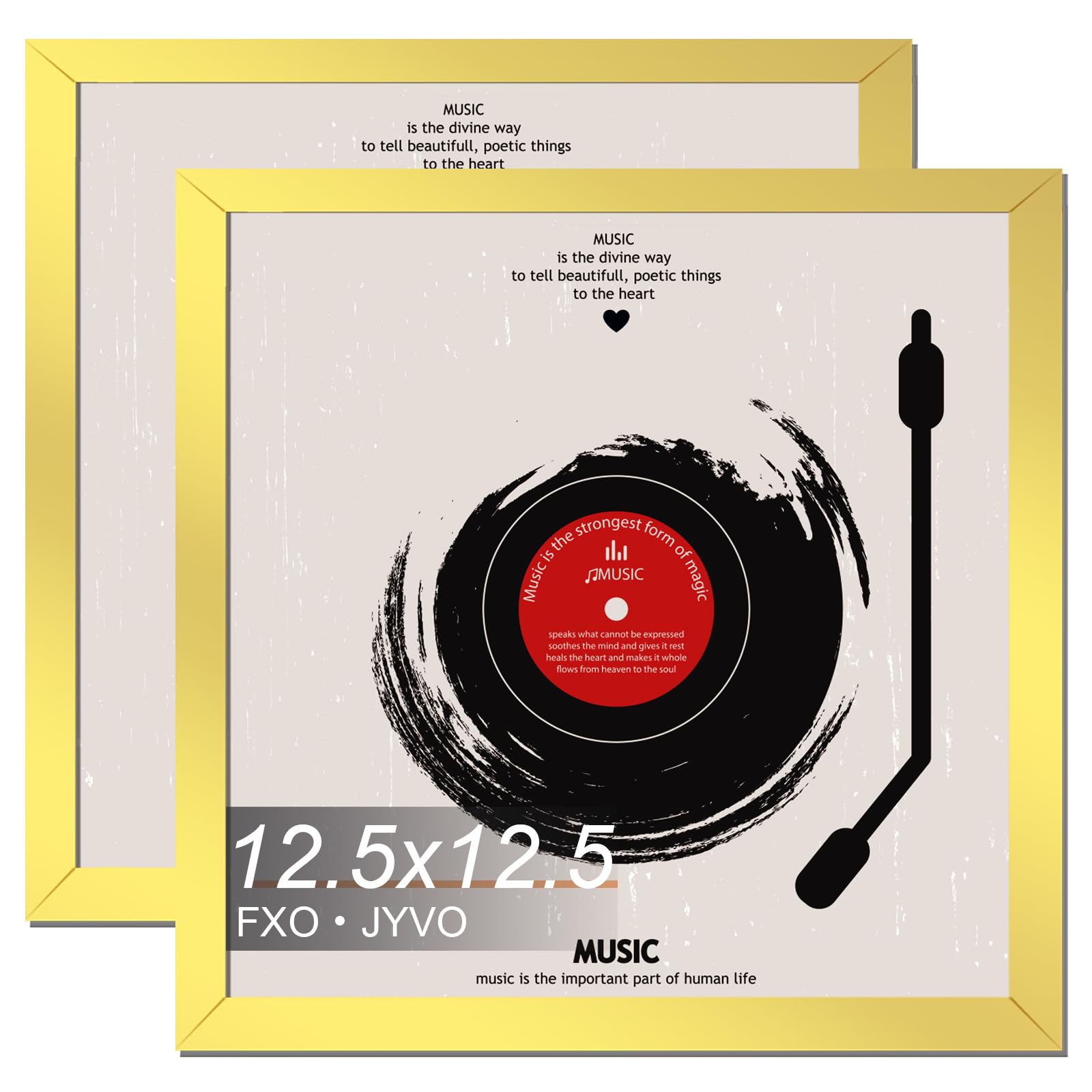 Fxojyvo Vinyl Record Frame for the Wall Display