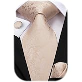 Hi-Tie Silk Paisley Ties for Men Necktie Pocket Square Cufflinks Set Foral Tie Sets Formal Business