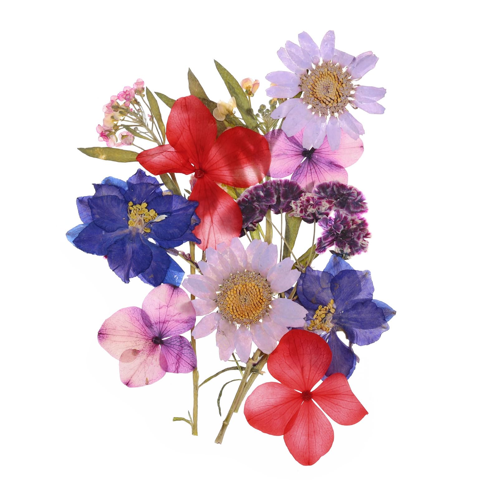 PATIKIL Dried Pressed Flowers, Dry Leaves Real Pressed Floral for Scrapbook Supplies DIY Card Making Resin Jewelry Making Soap Candle Crafts, Multicolor