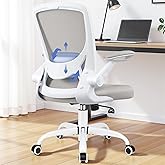 BESTFAIR Ergonomic Office Chair, Mesh Computer Chairs with Lumbar Support, Swivel Desk Chair with Flip-up Arms and Adjustable Height, Light Gray