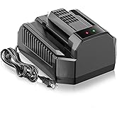 Fast Charging Replacement for EGO 56V Battery Charger CH2100,Compatible with EGO 56V Batttery BA2800 BA4200 BA1400,for EGO Power+ CH2100 56-Volt Lithium-ion Standard Charger