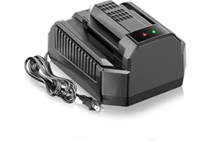 C DSANKE C Fast Charging Replacement for EGO 56V Battery Charger CH2100,Compatible with EGO 56V Batttery BA2800 BA4200 BA1400,for EGO Power+ CH2100 56-Volt Lithium-ion Standard Charger