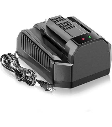 Amazon.com: Enerpower Charger 42V for 36V battery VanMoof S3 and