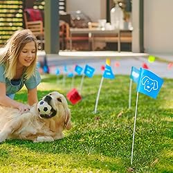 Zozen 50Pack Blue Marking Flags, Writable/15x4x5