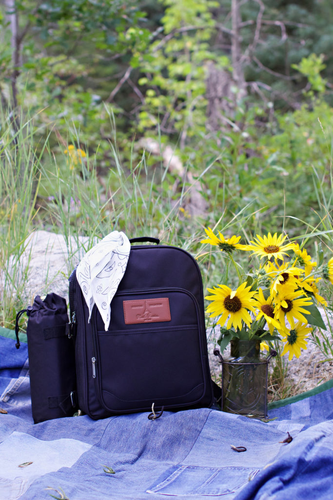 6 Plush+Picnic+Backpack+Compartment+Detachable