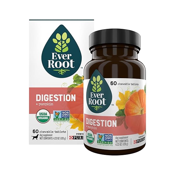 EVERROOT DOG SUPPLEMENTS POWERED BY PURINA DIGESTION CHEWABLE TABLETS WITH PUMPKIN – 4.23 OZ. CANISTER
