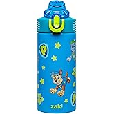 Zak Designs PAW Patrol Sage Kids Water Bottle For School or Travel, 14oz Stainless Steel Water Bottle With Straw, Handle, and Leak-Proof Spout Cover (Chase, Marshall, Skye, Rubble, Rocky, Zuma) | Sage, Kids, For School or Travel, Handle