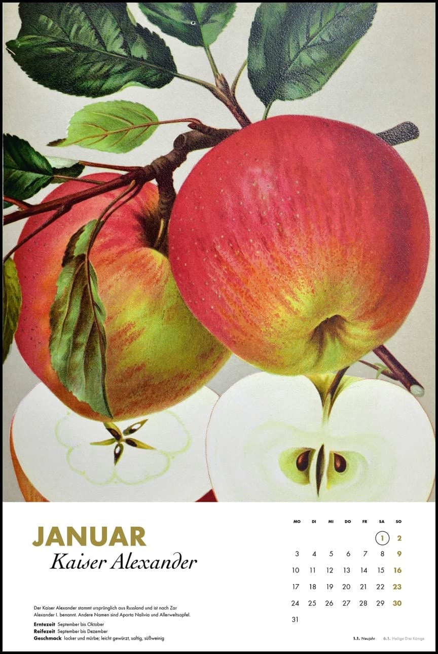 Alte Apfelsorten 2022 Bild Kalender 33x49 5 Kuchen Kalender Gesunde Ernahrung Wand Kalender 4251732326166 Amazon Com Books Alte Apfelsorten 2022 Bild Kalender 33x49 5 Kuchen Kalender Gesunde Ernahrung Wand Kalender 4251732326166 Amazon Com Books