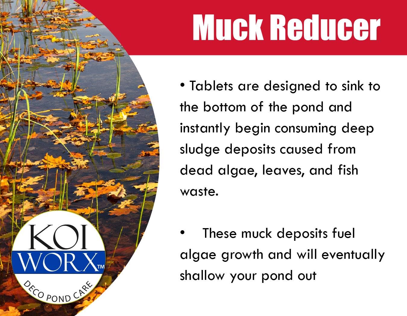KoiWorx Muck Reducer, 145 Tablets, Dry Beneficial Bacteria, Reduces Muck, Sludge, Organic Build up, 100% Natural Bacteria, Safe for koi : Garden & Outdoor