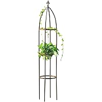 Amazon.es Los más vendidos: Los productos más populares en Enrejados