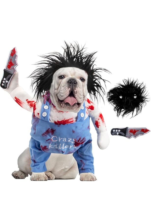 clown platter dog costume