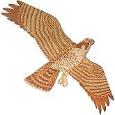 Jackite Assembled Peregrine Falcon Bird Kite Wind Sock