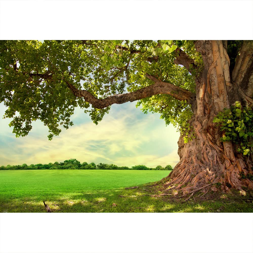 Aoihrraan 3x2m Huge Tree Backdrop Spring Park Meadow Countryside Old Tree Rural Scenery Field Photography Background Fish Tank Decor Outdoor Picnic Baby Kids Adults Portrait Photo Studio Props
