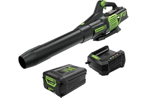 Greenworks 60V 700 CFM Brushless Leaf Blower, 5.0 Ah Battery and Rapid Charger