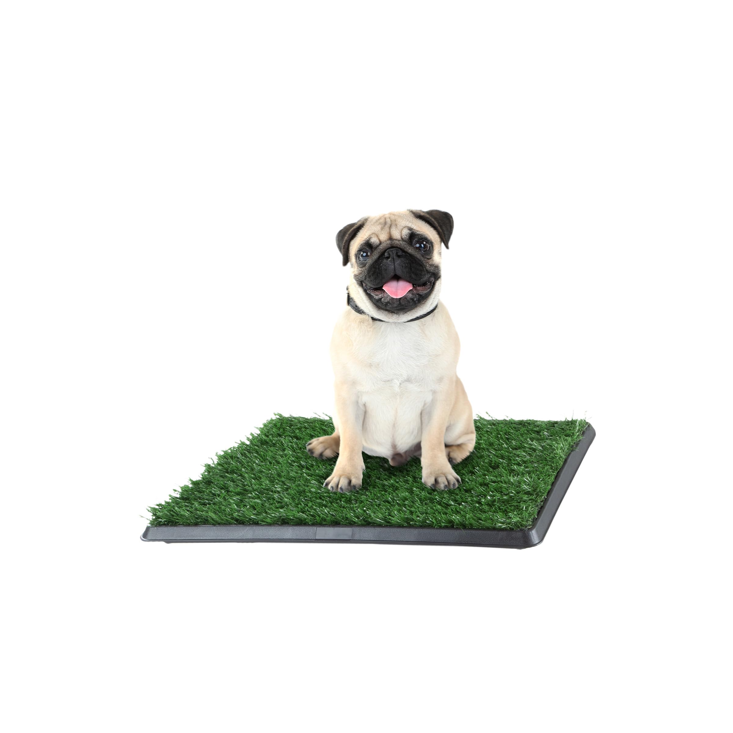 PETMAKER Artificial Grass Puppy Pad for Dogs and Small Pets – Portable Training Pad with Tray – Dog Housebreaking Supplies by (16" x 20"), green