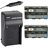 DSTE 2x NP-F550 Battery + DC01 Travel and Car Charger Adapter for Sony CCD-RV100 CCD-RV200 SC5 SC9 TR1 TR940 TR917 Camera CN-160 CN-216 CN-304 YN 300 VL600 LED Video Light as NP-F330 NP-F530 NP-F570