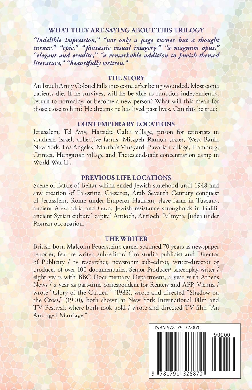 Buy Jewish Renaissance A Voice From The Chorus Book Online At Low